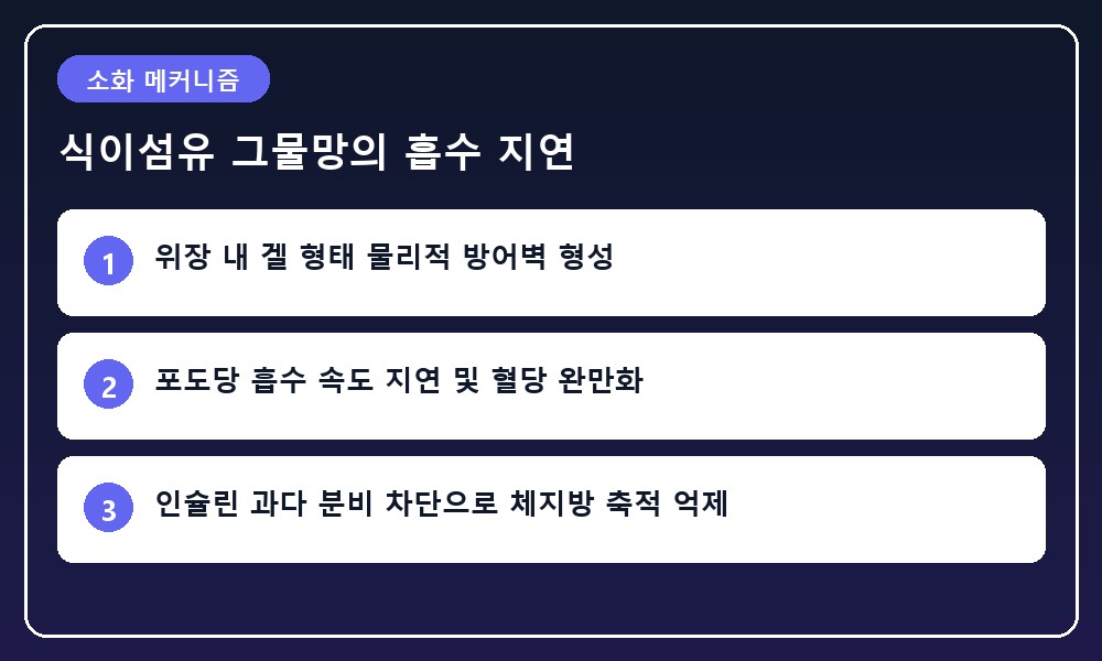 식이섬유가 소화관 벽에 보호망을 형성하여 탄수화물의 급격한 당 흡수를 완충하는 소화 과정 일러스트